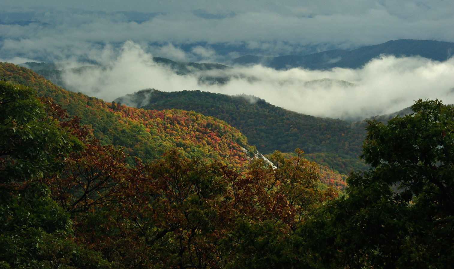 Blue Ridge Parkway [125 mm, 1/250 sec at f / 10, ISO 500]